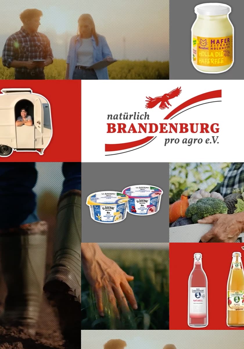 Fotocollage mit Grafischen Elementen zu Pro Agro