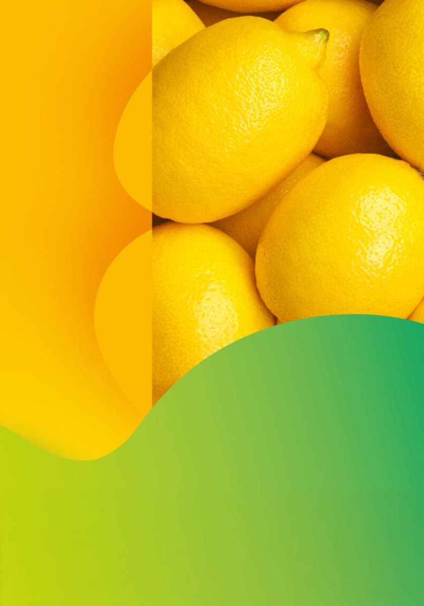 Key-Visual der Messe Fruit Logistica