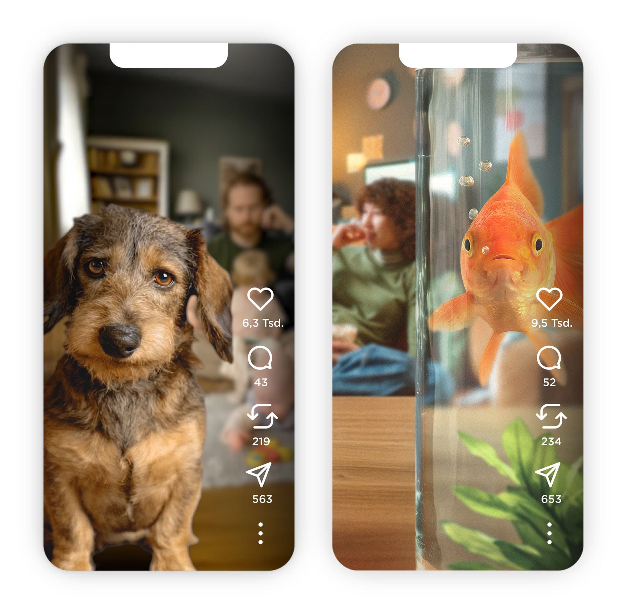 Zwei Smartphone-Mock-ups mit Social-Media-Posts: links ein Dackel in Wohnraumkulisse, rechts ein Goldfisch im Glas, jeweils mit Like- und Interaktionssymbolen