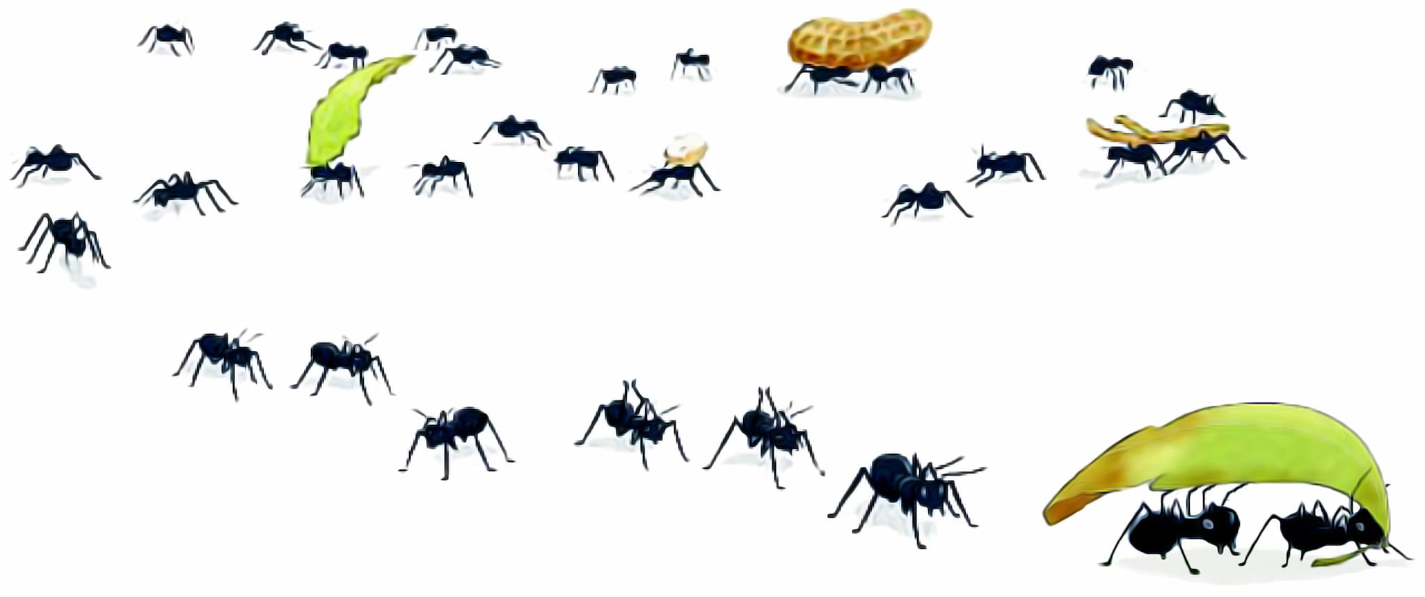 Illustration mit einer Ameisenstrasse aus dem Kinderbuch von Yuval Noah Harari Unser Umgang mit dem Klimawandel