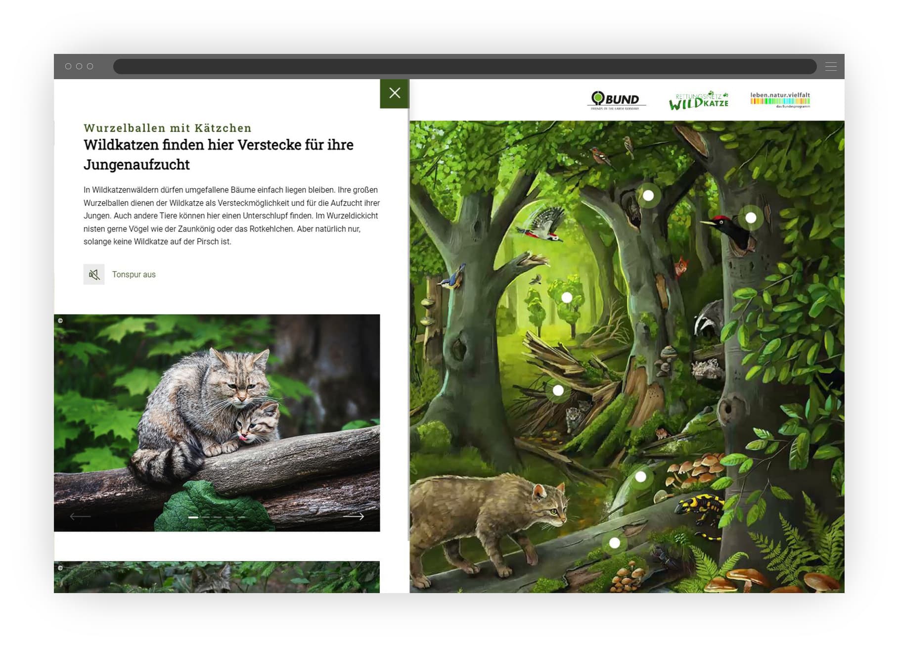 Mockup einer Website mit onclick Overlay für interaktve Illustrationen
