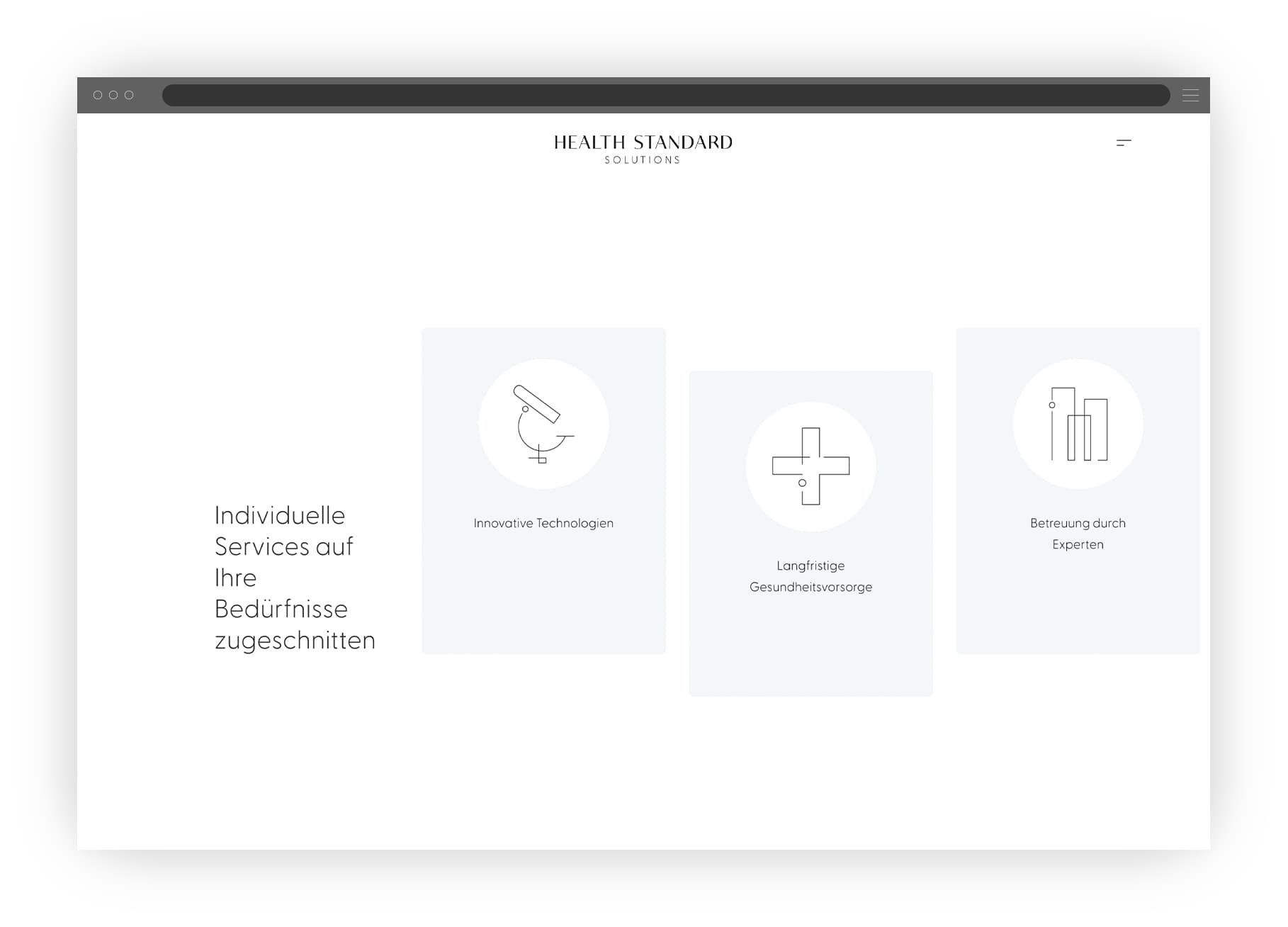 Grafik, die ein vertikales Silder Modul der Health Standard Solutions Website zeigt.