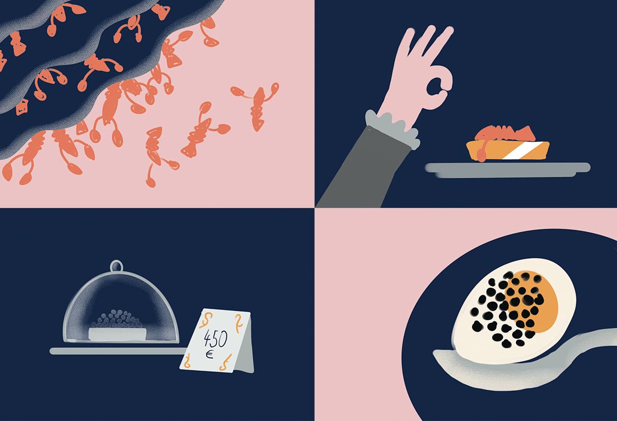 Zusammenstellung mehrerer Grafiken vom Storyboard für kleine Kulturgeschichte von Hummer und Kaviar